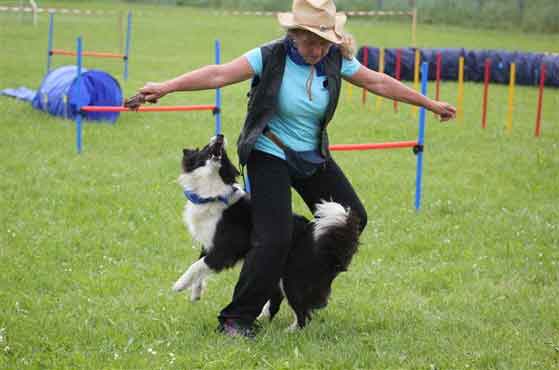Dog dance